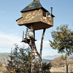Terunobu Fujimori on ladder of Takasugi-an tea house