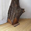 Tree branch holding up Takasugi-an